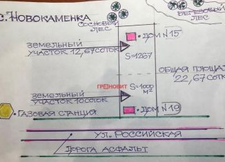 Продажа участка, 12.7 сот., село Новокаменка, Российская улица, 21