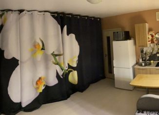 Продам квартиру студию, 21.7 м2, Санкт-Петербург, улица Вадима Шефнера, 14к1, ЖК Я – Романтик