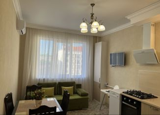 Аренда 1-комнатной квартиры, 50 м2, Краснодарский край, улица Мира, 44лит6