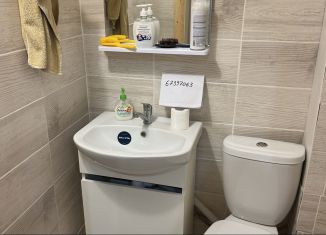 Сдача в аренду коттеджа, 170 м2, Пермский край