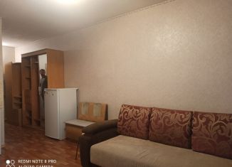 Сдача в аренду квартиры студии, 28 м2, Новосибирск, Первомайская улица, 230