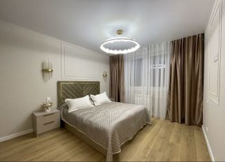 2-комнатная квартира в аренду, 60 м2, Московская область, Молодёжная улица, 60