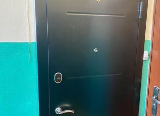 Продам 1-ком. квартиру, 30.8 м2, Борисоглебск, Северный микрорайон, 30