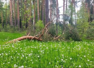 Продаю земельный участок, 1700 сот., деревня Злобино