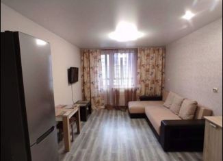 Продаю квартиру студию, 27.4 м2, Мурино, улица Шувалова, ЖК Цвета радуги