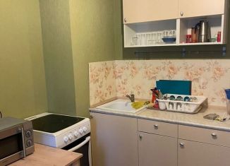 Сдается 1-ком. квартира, 36 м2, Санкт-Петербург, Советский проспект, 43к1, Советский проспект