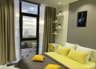 Сдается квартира студия, 25 м2, Сочи, Депутатская улица, 10Б/1, ЖК Метрополь