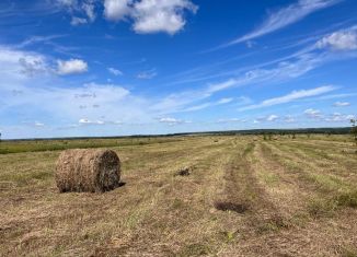 Продается участок, 363 сот., село Петропавлово