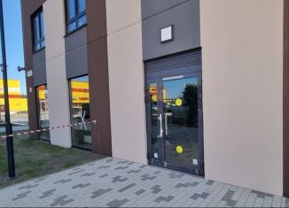 Продается помещение свободного назначения, 52.8 м2, деревня Новое Девяткино, улица Энергетиков, 5