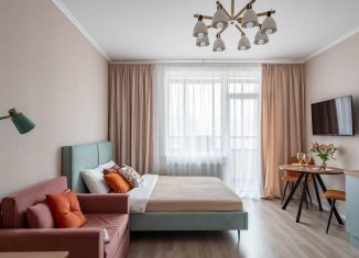 Продаю квартиру студию, 30.5 м2, посёлок Стрельна, проспект Будённого, 26к3