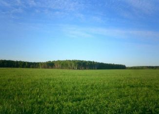 Продажа участка, 33 сот., деревня Раздолье, Новая улица