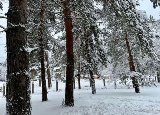 Сдаю в аренду дом, 45 м2, село Архыз