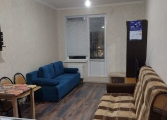 Сдается в аренду квартира студия, 25 м2, Санкт-Петербург, улица Маршала Казакова, 70к1с1, ЖК Прибалтийский