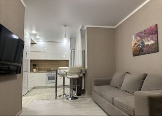 Продам двухкомнатную квартиру, 45.9 м2, Ростов-на-Дону, улица Городовикова, ЖК Красный Аксай