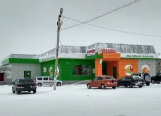 Сдаю помещение свободного назначения, 35.3 м2, село Краснохолмский, Октябрьская улица, 58