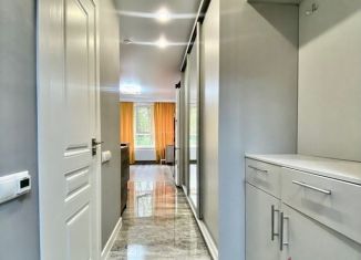 Квартира на продажу студия, 23.8 м2, рабочий посёлок Лопатино, Сухановская улица, 35, ЖК Государев Дом