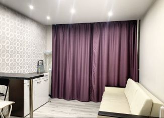 Продается квартира студия, 21.2 м2, Кудрово, ЖК Вернисаж, Пражская улица, 15