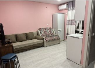 Сдача в аренду квартиры студии, 22 м2, село Весёлое, улица Мира, 122/3