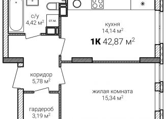Продажа однокомнатной квартиры, 42.9 м2, Нижний Новгород, метро Горьковская