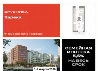 Продам квартиру студию, 24.5 м2, Тюмень, Центральный округ