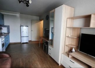 Сдаю в аренду 1-ком. квартиру, 31 м2, Ростов-на-Дону, Художественная улица, 22/17, ЖК Платовский