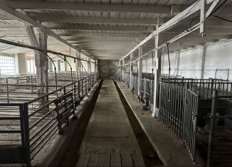 Производство на продажу, 10000 м2, Ростовская область, улица Шейнова, 25