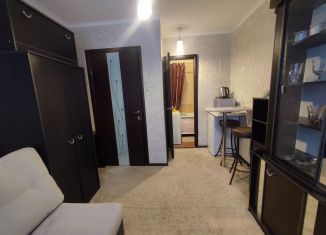 Квартира в аренду студия, 16 м2, Курган, улица Яблочкина, 4Г