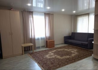 Сдается 1-ком. квартира, 30 м2, Новосибирская область, улица Титова, 8