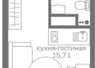 Продажа квартиры студии, 19.7 м2, Тюменская область, улица Александра Пушкина, 14