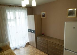 Сдаю квартиру студию, 22 м2, Новосибирск, улица Виктора Уса, 9