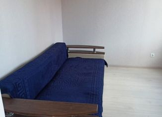 Аренда квартиры студии, 26 м2, Ростов-на-Дону, улица Теряева, 8, ЖК Платовский