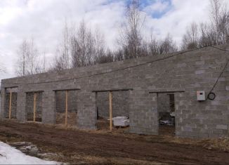 Продажа гаража, 30 м2, Нижегородская область, ГСК Кариатида, 278
