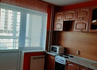 Сдаю в аренду 1-ком. квартиру, 41 м2, Екатеринбург, улица Токарей, 26