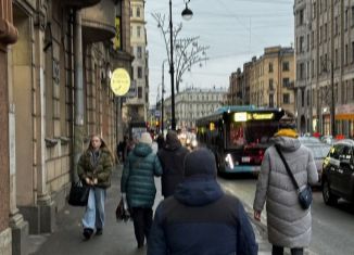 Аренда помещения свободного назначения, 10 м2, Санкт-Петербург, Каменноостровский проспект, 57, муниципальный округ Аптекарский Остров