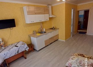 Аренда квартиры студии, 18 м2, Сочи, Дагомысский переулок, 7, микрорайон Ареда