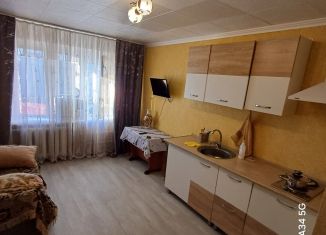 Сдается в аренду квартира студия, 18 м2, Сочи, Дагомысский переулок, 7, микрорайон Ареда