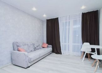 Продажа 1-ком. квартиры, 27 м2, деревня Патрушева, улица Александра Пушкина, 14