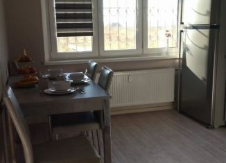 Сдам в аренду 1-ком. квартиру, 28 м2, Ростов-на-Дону, Художественная улица, 9, ЖК Платовский