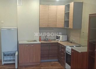 Сдается квартира студия, 33 м2, Новосибирск, улица Татьяны Снежиной, 48