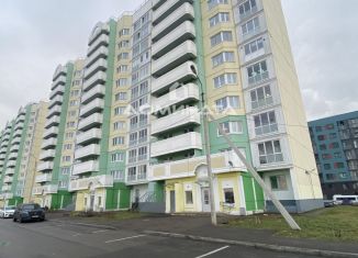 Двухкомнатная квартира на продажу, 56 м2, городской посёлок Янино-1, Мельничный переулок, 1к2