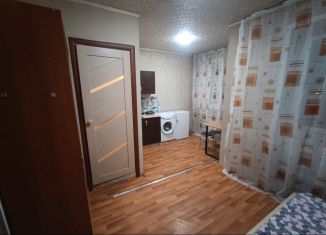 Сдам в аренду квартиру студию, 18 м2, Барнаул, Сельский проезд, 62