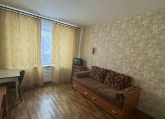 Сдача в аренду 3-комнатной квартиры, 60 м2, Новосибирск, Выборная улица, 116, Октябрьский район