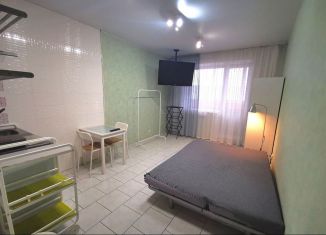 Сдаю в аренду квартиру студию, 30 м2, Хакасия, улица Некрасова