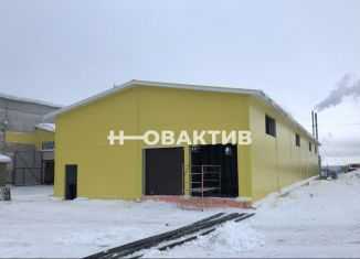 Складское помещение на продажу, 400 м2, Новосибирск, метро Площадь Маркса, Архонский переулок, 3