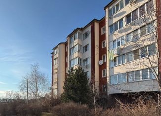 Продажа помещения свободного назначения, 270 м2, Ессентуки, улица Лермонтова, 146к3