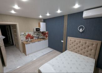 Сдается квартира студия, 18 м2, Татарстан, улица Марата Ахметшина, 4