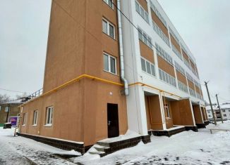 Продается 1-комнатная квартира, 37 м2, Благовещенск, улица Чистякова, 12