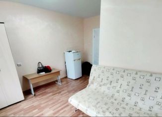 Сдаю в аренду квартиру студию, 20 м2, Екатеринбург, улица Кольцова, 116, метро Проспект Космонавтов