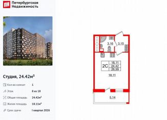 Продаю квартиру студию, 24.4 м2, Санкт-Петербург, муниципальный округ Невский