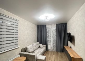 2-ком. квартира в аренду, 40 м2, Новосибирск, улица Никитина, 67